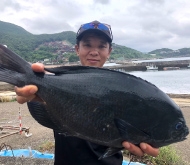 山本 俊介